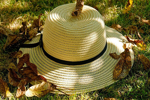 16 вересня Україну розігріє до +26°: куди повернеться літо - we.ua