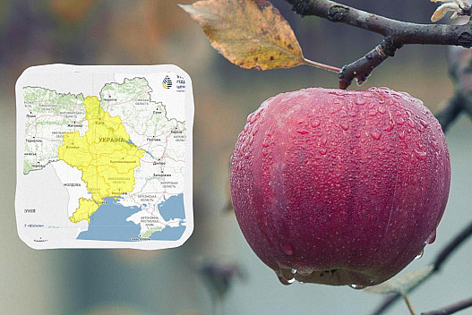 Укргідрометцентр попереджає про небезпеку: негода накриє 5 областей - we.ua