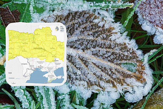 В Україні на три ночі поспіль оголосили І рівень небезпеки: де вдарять заморозки - we.ua