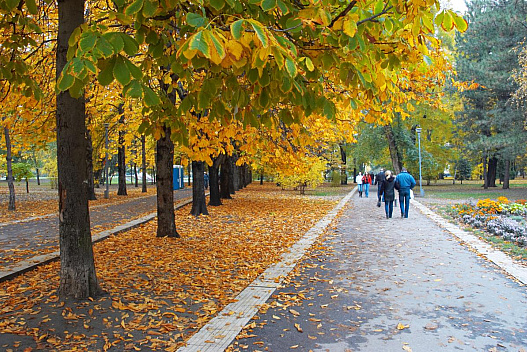 У Києві настала метеорологічна осінь - we.ua