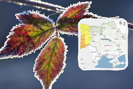 Україну накриває нова хвиля заморозків: де буде 