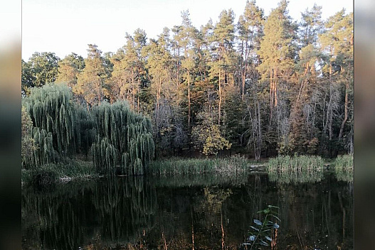 Теплі, але мокрі: на яку погоду чекати у вихідні дні 4 та 5 жовтня - we.ua