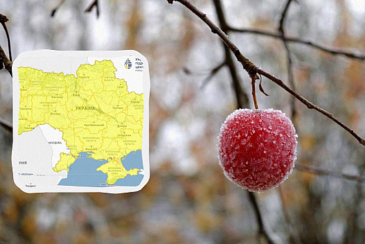 Заморозки будуть сильнішими, ніж очікувалося: Укргідрометцентр оновив прогноз - we.ua