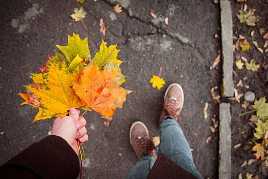 Майже бабине літо: відома синоптикиня потішила українців прогнозом на 30 жовтня - weua.dev