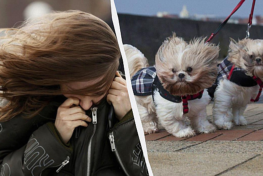 31 жовтня погоду в Києві зіпсує сильний вітер - we.ua