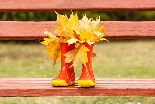 Жовтень в Україні завершиться красивою погодою: синоптикиня Діденко потішила прогнозом - we.ua