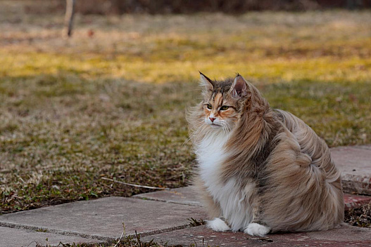 У Харкові напередодні вихідних оголосили І рівень небезпеки - we.ua