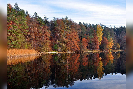 Листопад дебютує теплом та обіцяє бути аномальним: які погодні сюрпризи піднесуть українцям перші вихідні місяця - we.ua
