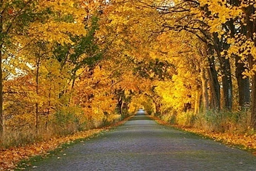 Мінлива хмарність і суха погода, місцями тумани: прогноз погоди на 2 листопада - we.ua