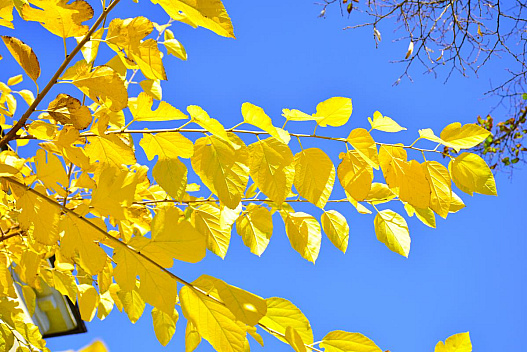 2 листопада в Україні потеплішає мало не до +20° - we.ua
