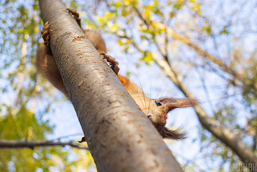 Сьогодні в Києві буде дуже тепло, попереду - похолодання - we.ua