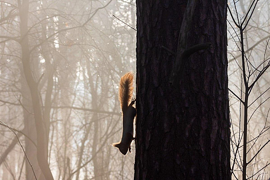 Цього тижня погода в Україні почне змінюватися: до чого готуватися - we.ua