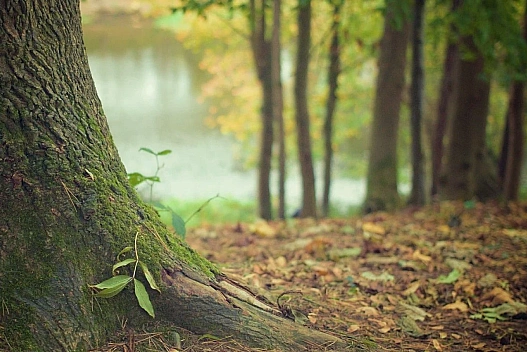 Після сонячного понеділка, Україну накриє похолодання та дощі з 4 листопада, а Київ очікує +10 градусів - we.ua
