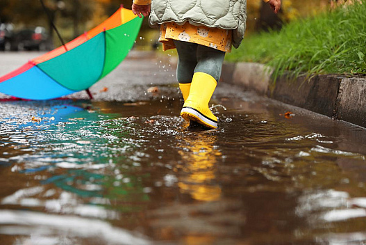 4 листопада в Україну увірветься похолодання з дощами - weua.dev