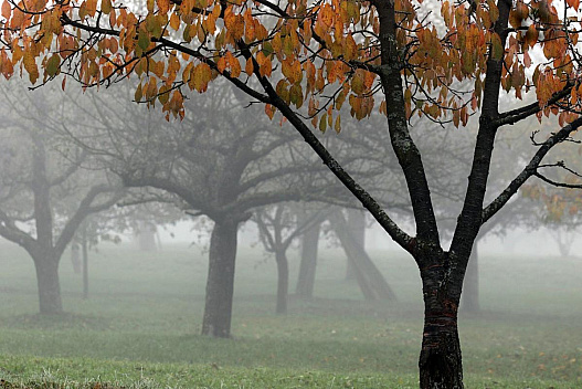 В Одесі терміново оголосили І рівень небезпеки: що відбувається - we.ua