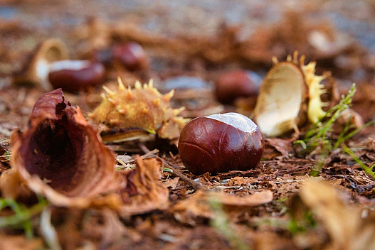 У Києві на один день температура впаде нижче +10°: названо точну дату - we.ua