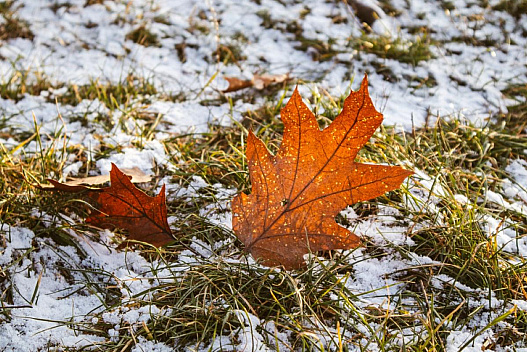 Зима нагадає про себе: синоптик попередждає про сніг та морози в Україні - we.ua