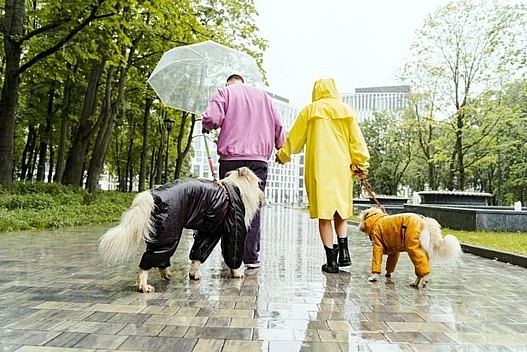 В Україні різке похолодання та дощі: прогноз погоди на 4 листопада - weua.dev