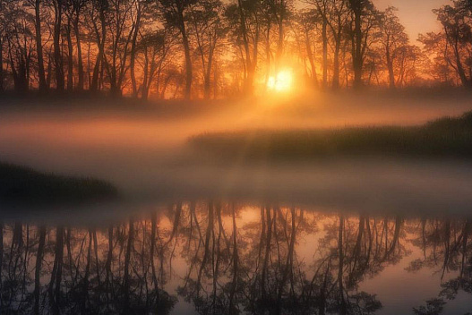 Антициклон Vianelde накриє Україну: синоптикиня вказала на важливий нюанс - we.ua