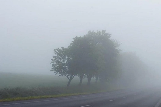 Спокійно, без вітру та опадів - прогноз погоди на 6 листопада від Діденко - we.ua