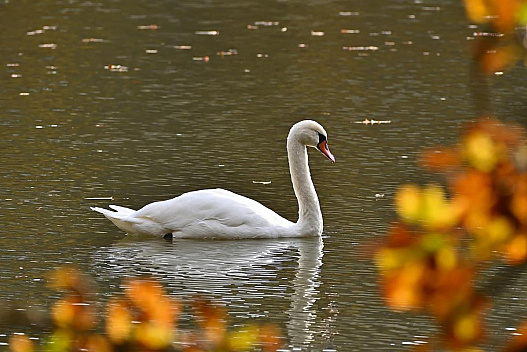7 листопада потішить українців теплом та сонцем - we.ua