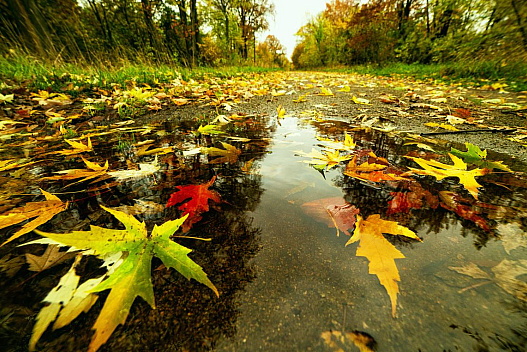 На вихідних погода в Україні почне змінюватися - we.ua