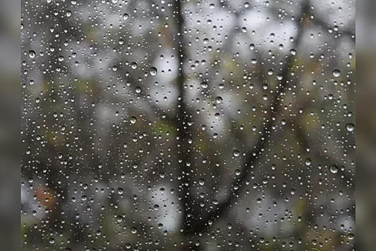 Після вихідних утеплюйтеся: синоптики попередили про наближення похолодання - we.ua