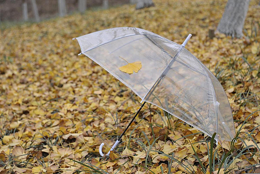 Циклон Niksala мчить до України: синоптикиня повідомила, що станеться з погодою - we.ua