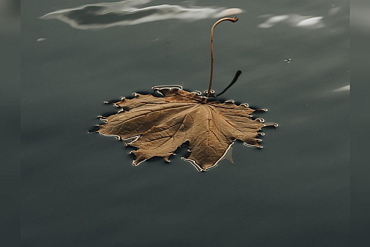 Дощово та подекуди аномально тепло: яку погоду обіцяють українцям синоптики на тижні 10 — 16 листопада - we.ua