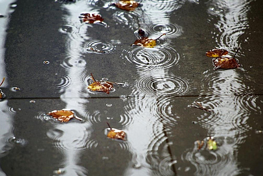 11 листопада Україну заллють сильні дощі - we.ua