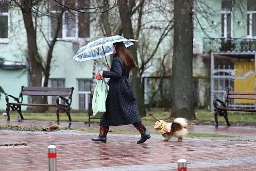 Україну накриє хмарна дощова погода: синоптики дали прогноз на перший день тижня - we.ua