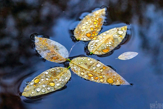 Негода у Дніпрі: синоптики попереджають про небезпеку - we.ua