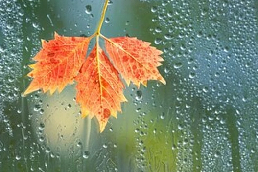 У четвер в Україні переважатиме похмура погода, прояснення можливі лише на заході - we.ua