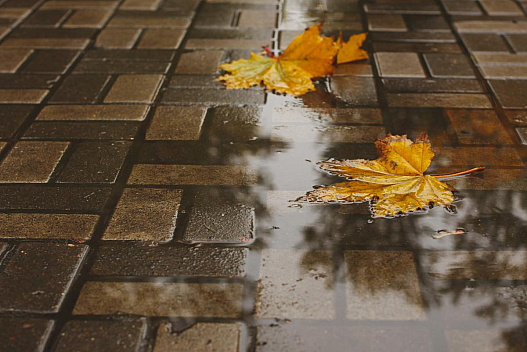 На вихідних погода в Україні зіпсується - we.ua