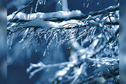 Осінь готується прощатися: на тижні 17 — 23 листопада синоптики очікують в Україні легкий «мінус» та мокрий сніг - we.ua