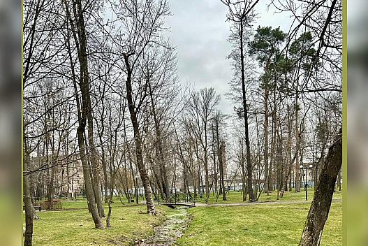 Сильний вітер та значне похолодання: синоптики засмутили прогнозом на 18 листопада - we.ua