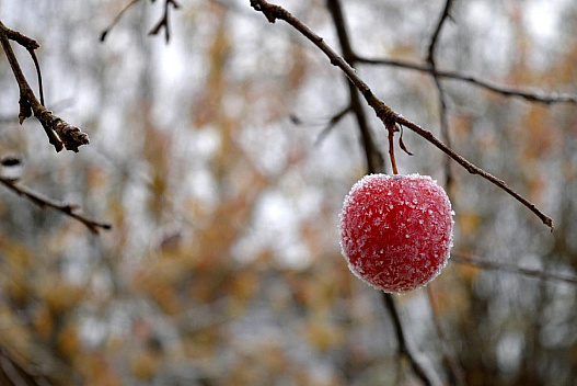 Синоптики повідомили, коли температура в Україні впаде до -5° - we.ua