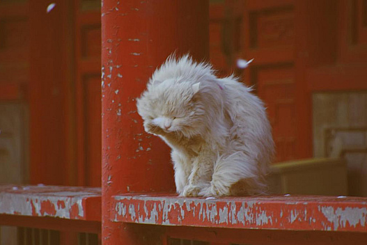 У Харкові оголошено І рівень небезпеки: що сталося - we.ua