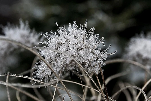 В Україну йдуть дощі та поривчастий вітер, на півдні до +14: прогноз погоди на 20 листопада - we.ua