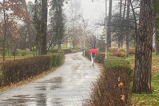 21 листопада в Києві потеплішає, але погоду зіпсує дощ - we.ua