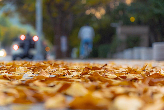 Спека, сніг та ожеледь: синоптик розповів, як погода 