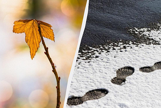 І потепління до +20, і мокрий сніг: синоптикиня розповіла про погоду в Україні у п'ятницю - we.ua