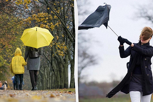 Синоптики попередили про негоду в понеділок: прогноз на 24 листопада - we.ua