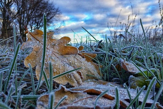Синоптики прогнозують нові температурні коливання в Україні з 27 листопада - we.ua