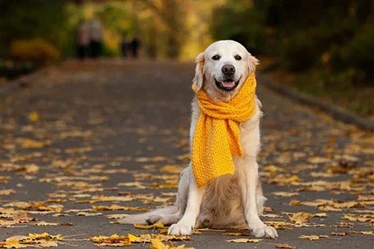 В Україні хмарно з проясненнями: прогноз погоди на 29 листопада - we.ua