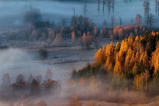 Зима в Україні розпочнеться осінньою погодою – прогноз синоптикині на 1 грудня - we.ua