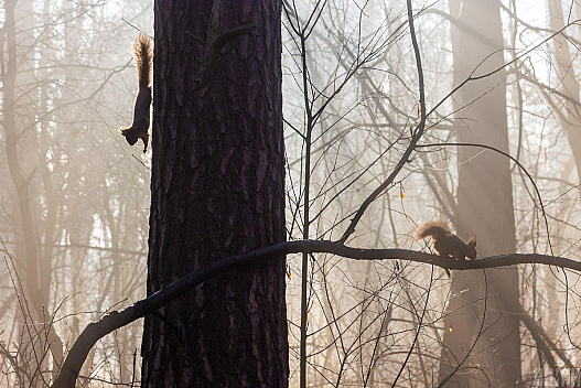 В Укргідрометцентрі розповіли, якої погоди чекати 3 грудня - we.ua