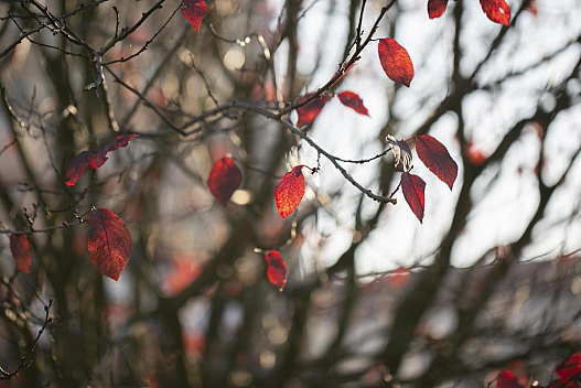 На вихідних в Україну прийде похолодання, але є нюанс, - синоптикиня - we.ua