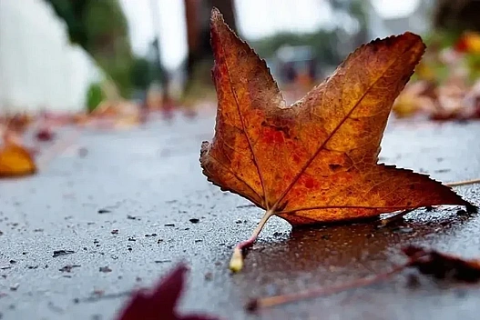 Хмарно з проясненнями та помірний вітер: синоптики дали прогноз на 7 грудня - we.ua