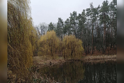 Без парасольок: синоптики обіцяють українцям комфортну погоду у вихідні 6 та 7 грудня - we.ua